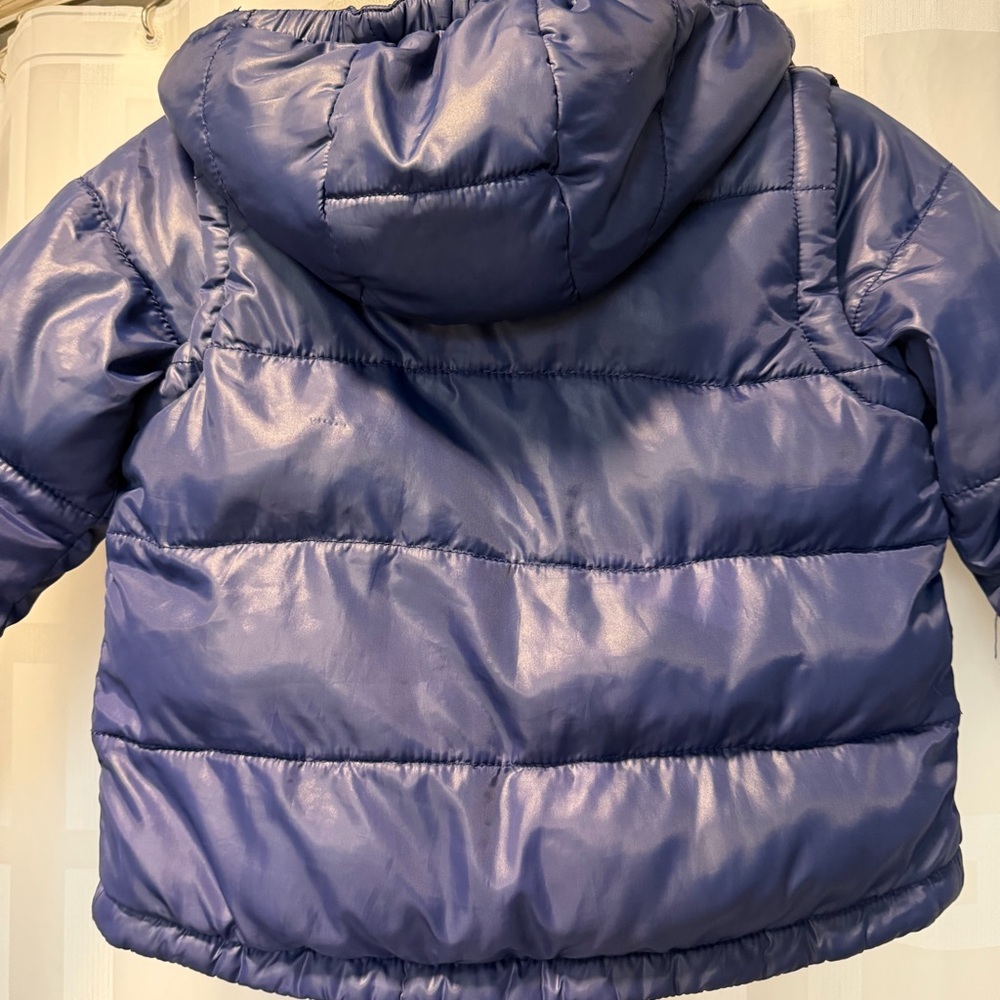 mini Boden 2 in 1 Puffer Jacket - Picture 11 of 13